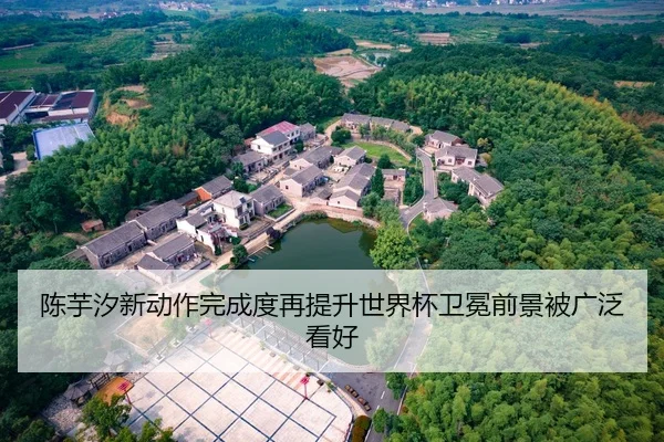 陈芋汐新动作完成度再提升世界杯卫冕前景被广泛看好